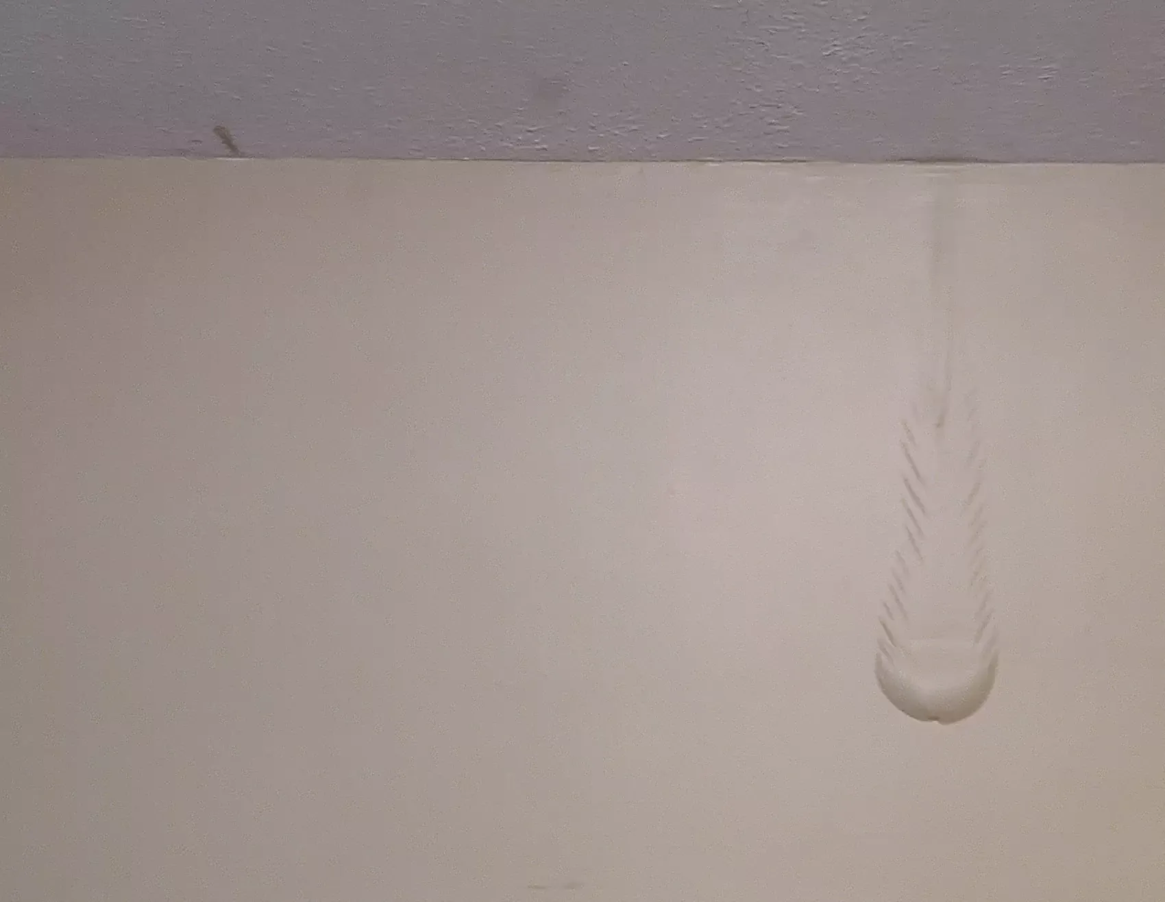 Water-filled bubble behind the wall paint.